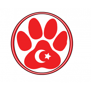 Sokak patilerimiz